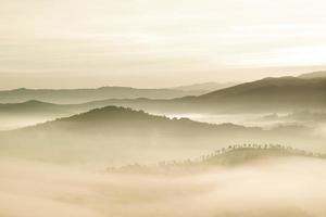 Trees on foggy mountains with cloudy sky photo