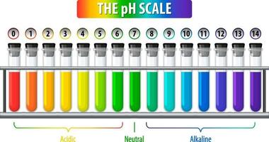 A pH scale on white background vector