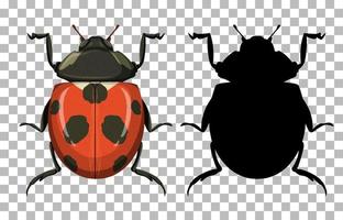 Ladybug on transparent background vector