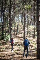 Portrait of hiking couple backpacking in a pine forest photo