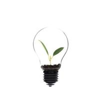 Light bulb, isolated on white background photo