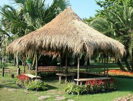 Thatch hut in park photo