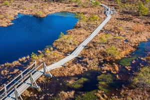 pantano y camino de madera en el parque nacional kemeri