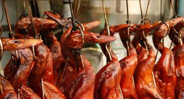 Hanging roasted duck photo