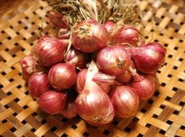 Close-up of shallots photo