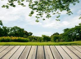 Table in garden photo