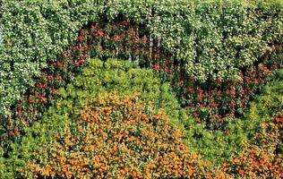 Vertical flower garden photo