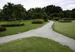 Concrete pathway in garden photo