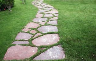 Path in grass photo