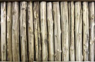 Wood timber background photo