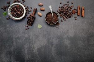 Roasted coffee beans with scoop photo