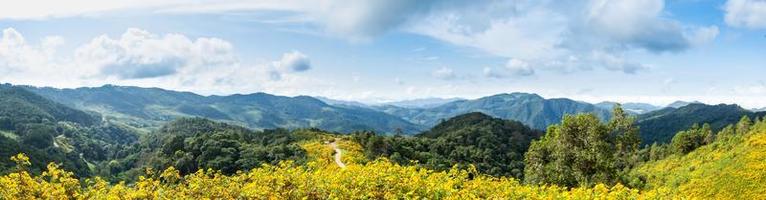 Panorama field of flowers, mountains and sky photo