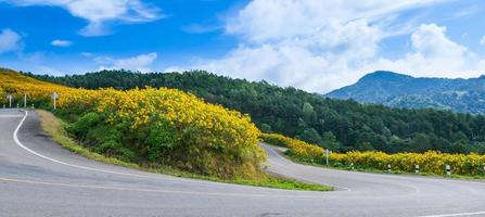 camino en una montaña foto