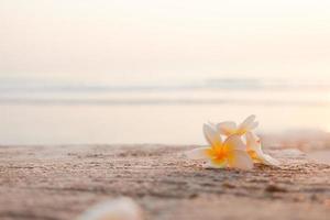 Flowers on the floor photo