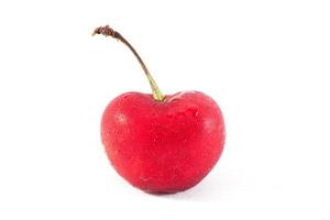 Cherry on white background photo