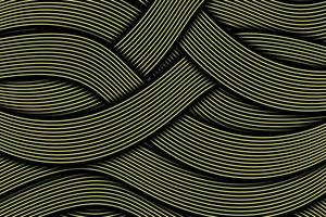 Abstract dynamic wavy line colorful background vector