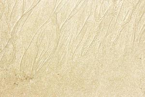 Sand texture background photo