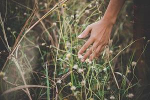 Close-up of a woman's hand touching grass photo