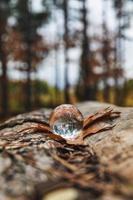 Lensball on brown leaves photo