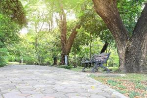 Bench in public park photo