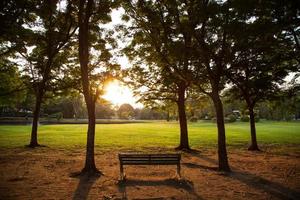 Bench in the park photo