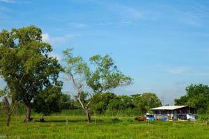 casa de campo en un prado en tailandia
