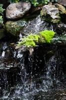 Small waterfall in the forest photo