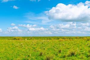 Meadow and clouds photo