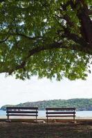 Benches in the park photo