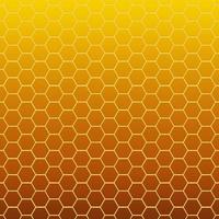 panal de textura de celda hexagonal