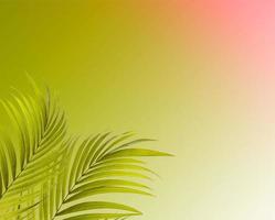 Palm leaves on colorful background photo