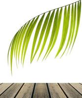 Palm leaf with wooden table
