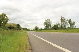 Road in forest photo