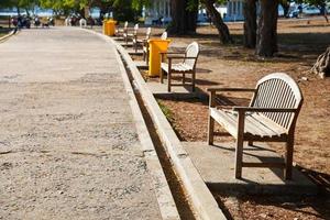 Benches in the park photo