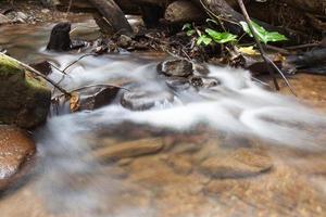 Stream in the forest photo