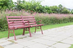 Red bench in the park photo