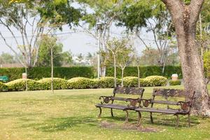 Benches in the park photo