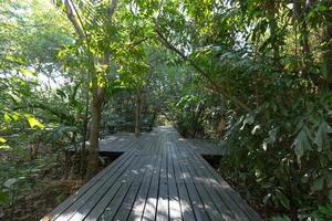 Wooden pathway in the park photo