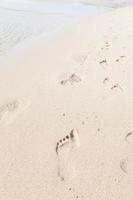 Footprints in the sand on the beach photo