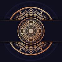 luxury mandala background design vector