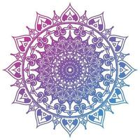 colorful mandala design vector