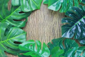 Monstera leaf frame on wood photo