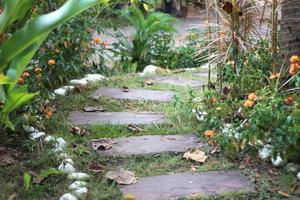 Stepping stone path in garden photo