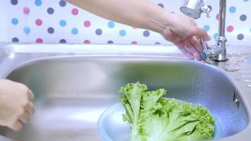 Señora lava verduras frescas con agua en aerosol en la cocina de casa video