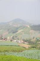 tierras de cultivo en la montaña en tailandia foto