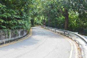 Road with trees photo