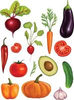 big set of watercolor vegetables on a white background. Illustration with realistic vegetables vector