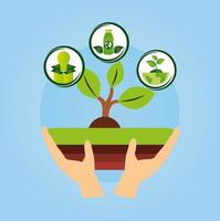 Eco friendly poster with hand lifting a plant vector