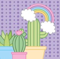 cactus plants and rainbow kawaii style vector