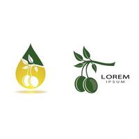 Olive logo images illustration vector